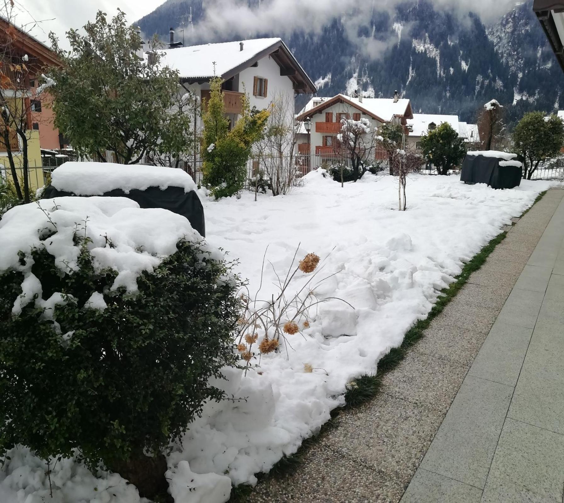 Appartamento Con Giardino Carisolo Exterior foto
